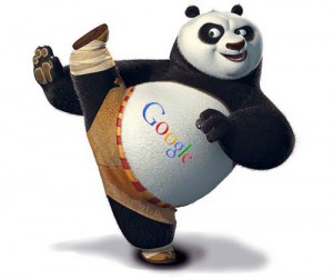 SEO Google Panda