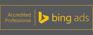 Bing Ads Professionnel Agree